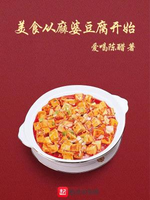 风味(美食从麻婆豆腐开始)