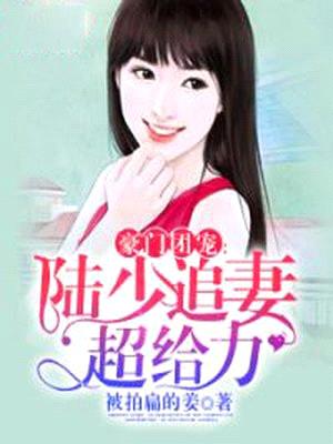 豪门团宠:陆少追妻超给力