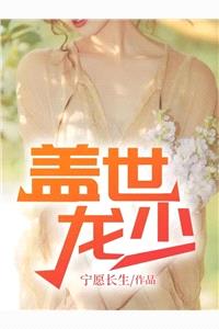盖世龙少