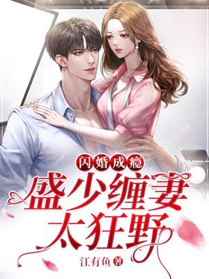 闪婚成瘾:盛少缠妻太狂野