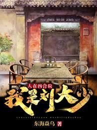 人在四合院,我是刘大少